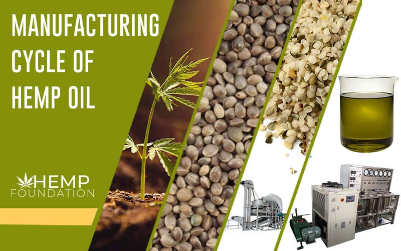 Hemp Oil Manufacturing