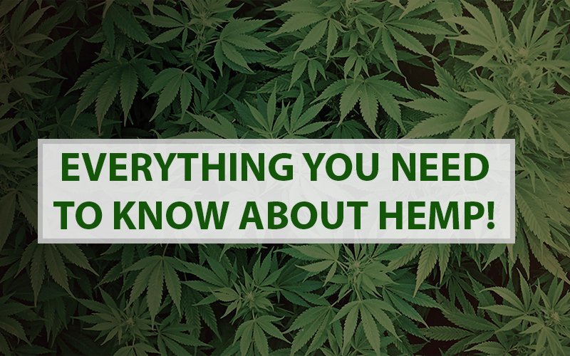 All about Hemp