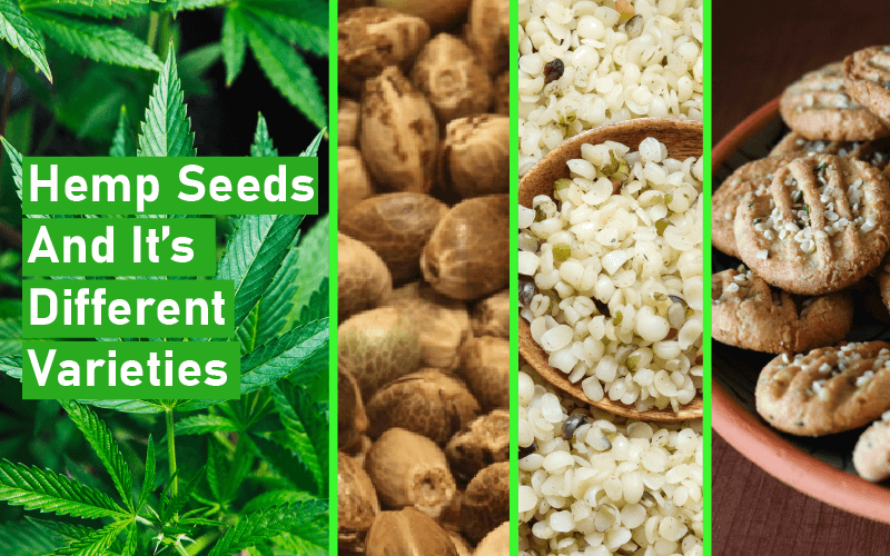 Varieties of Hemp Seeds